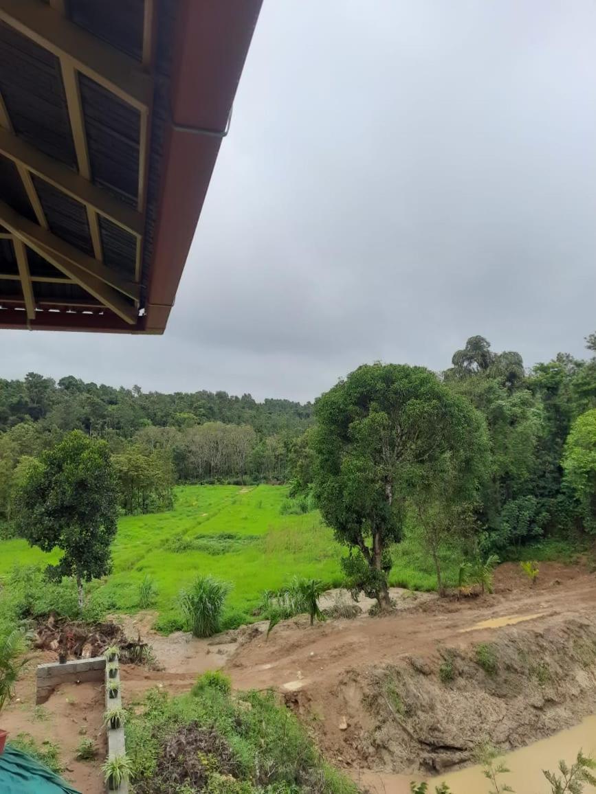 Coffee Country Homestay Chikmagalūr Extérieur photo